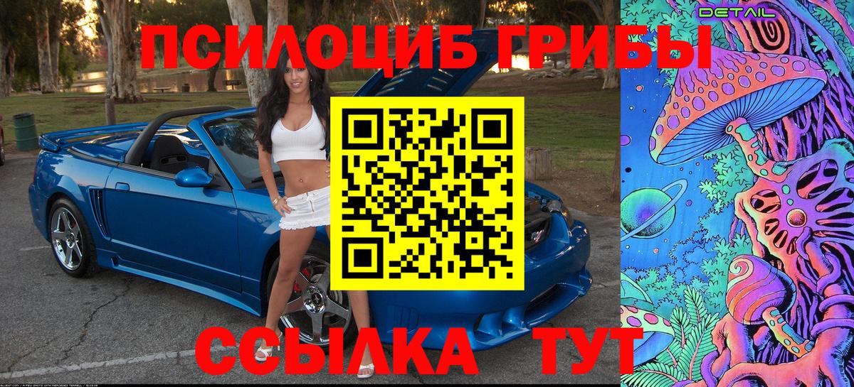 Псилоцибиновые грибы Magic Shrooms  Вход с VPN  сколько стоит  Киселёвск 